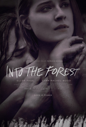 В лесу(2015)