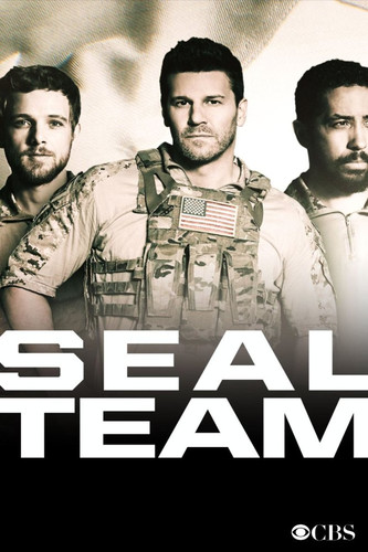 Сериал - Спецназ/Seal Team