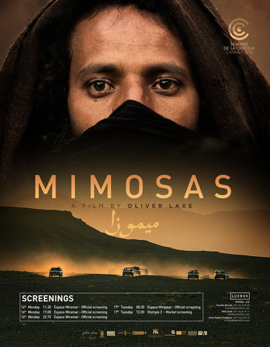 Мелодрама - Мимозы(2016)
